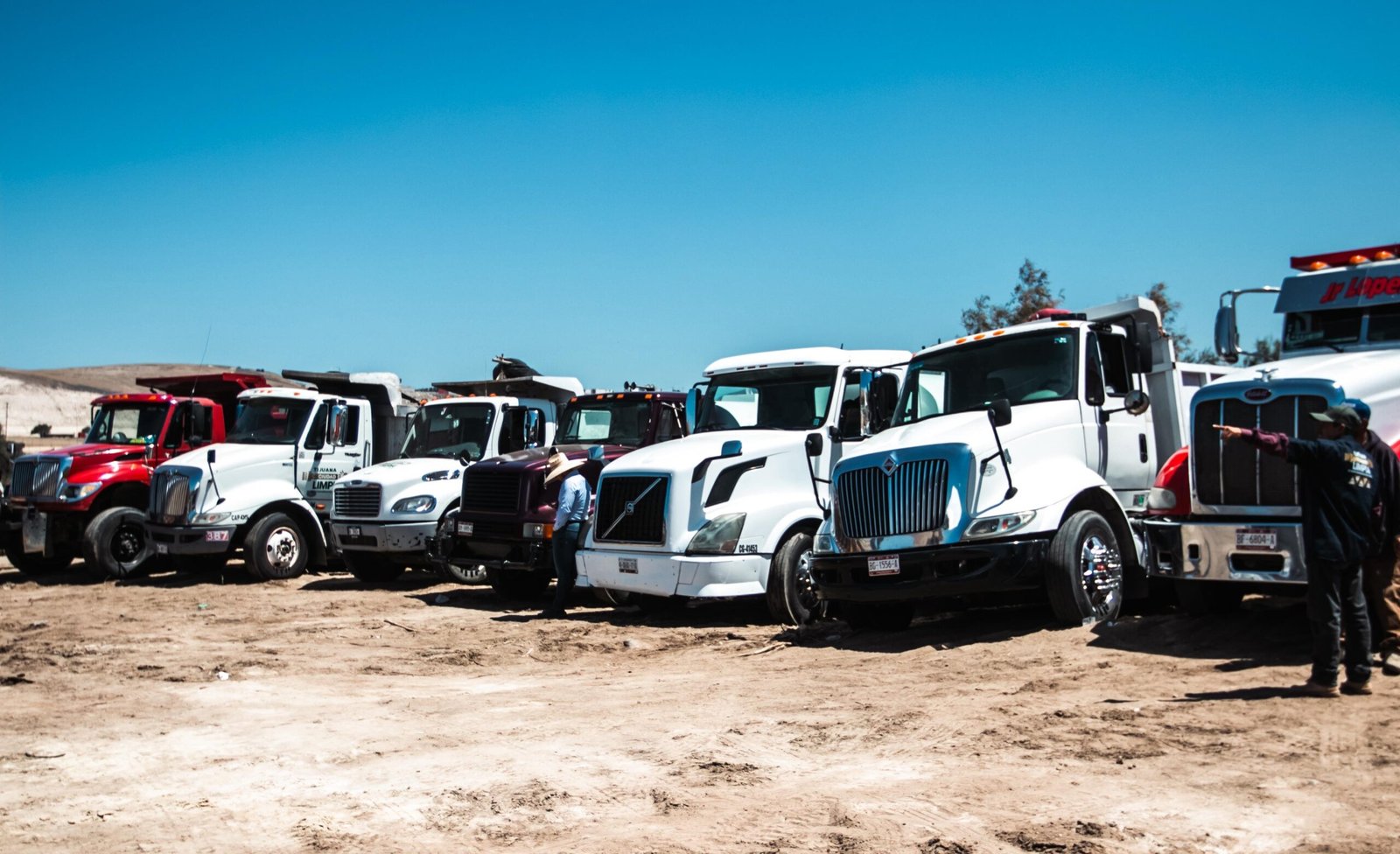 WhatsApp Image 2025-05-14 at 14.53.50 (1)