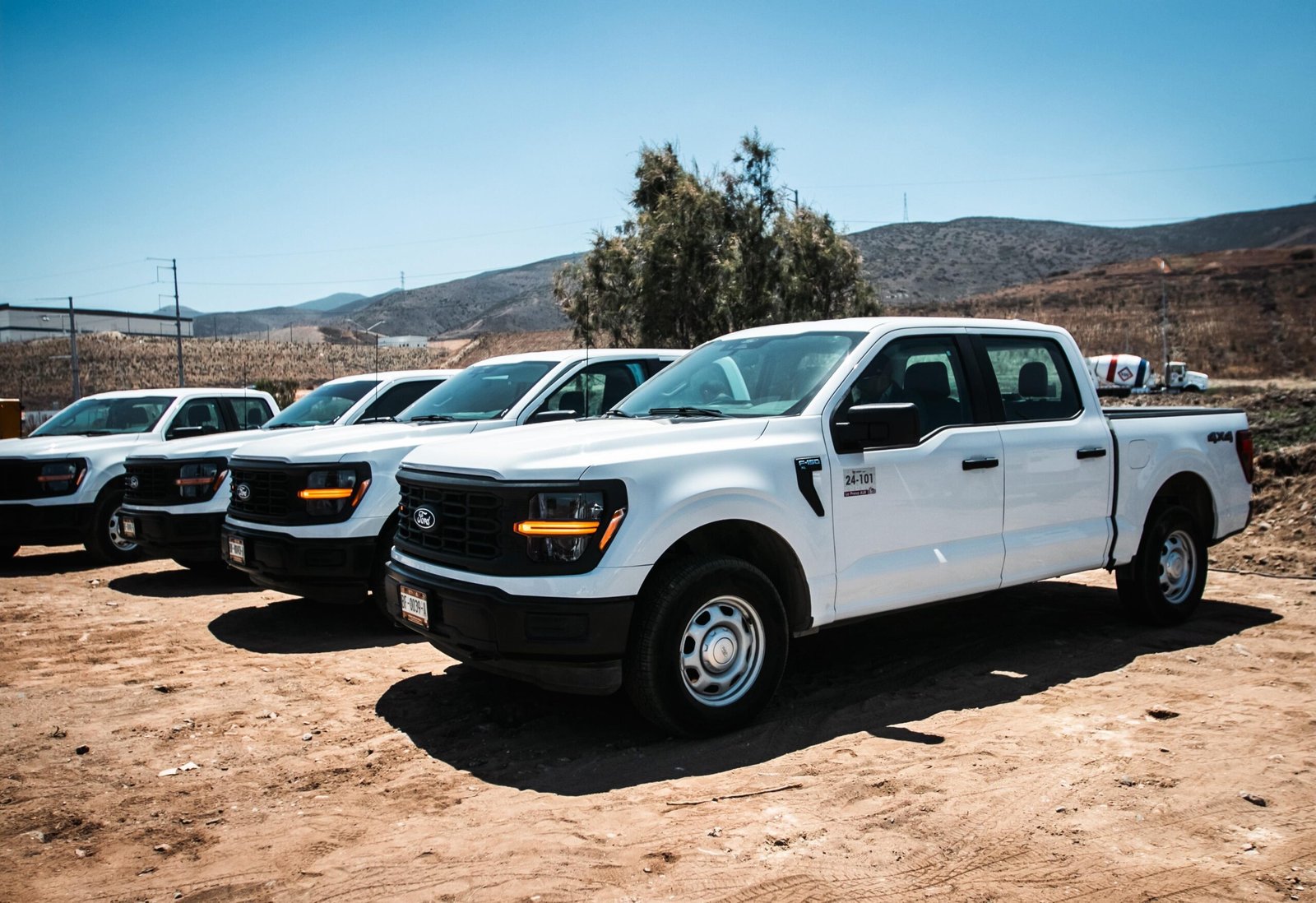 WhatsApp Image 2025-05-14 at 14.53.50