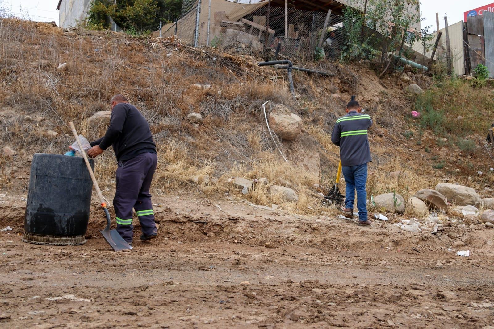 WhatsApp Image 2025-06-03 at 15.21.27 (2)