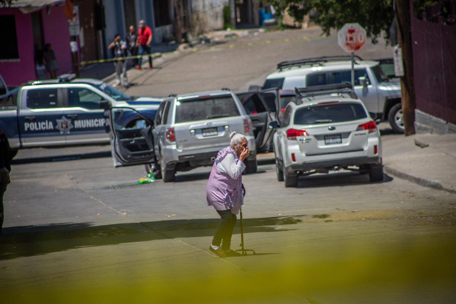 WhatsApp Image 2025-06-18 at 15.43.14 (2)