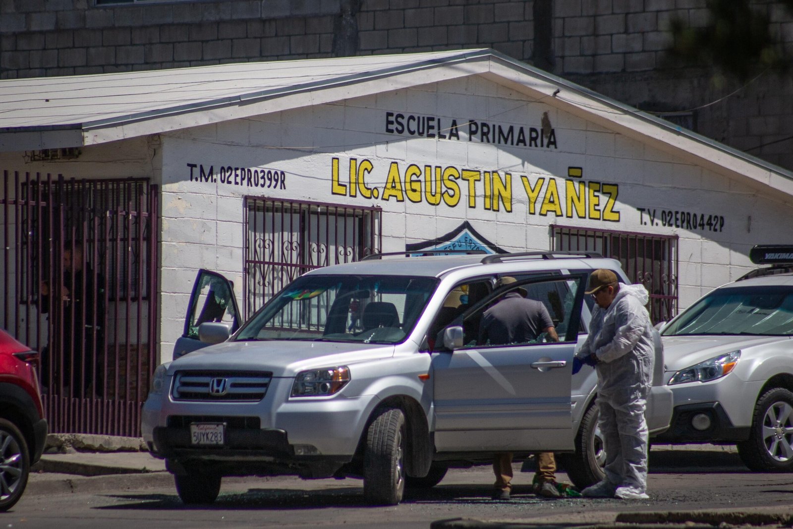 WhatsApp Image 2025-06-18 at 15.43.14