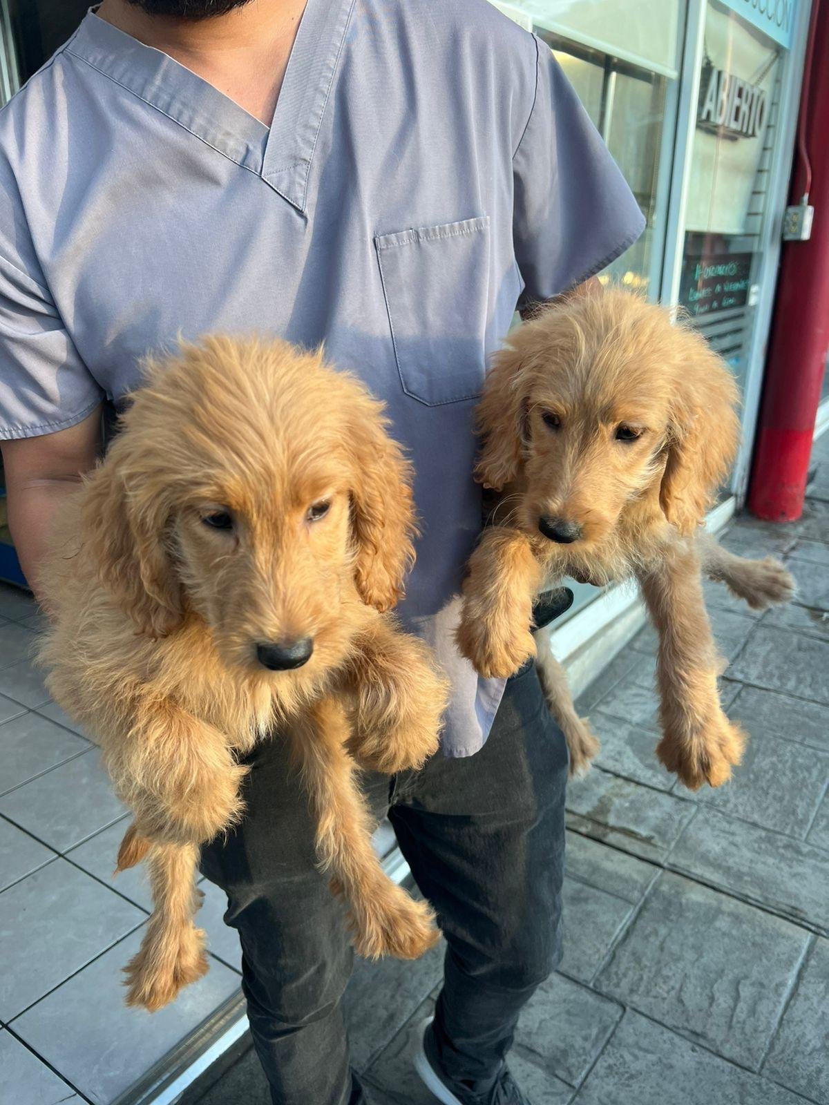 WhatsApp Image 2025-06-12 at 08.57.33