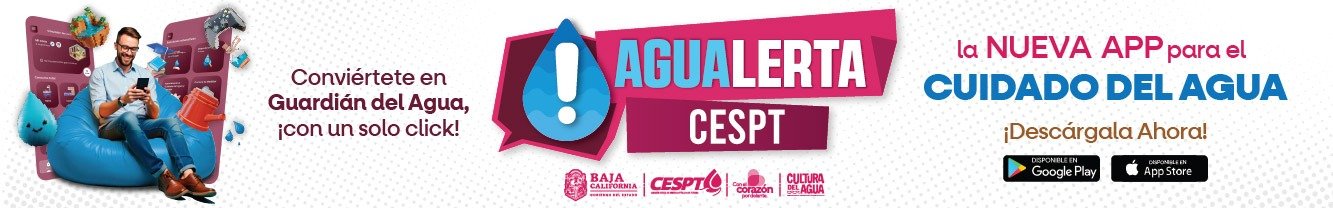 Imagen de WhatsApp 2025-09-04 a las 14.16.15_619cf45a
