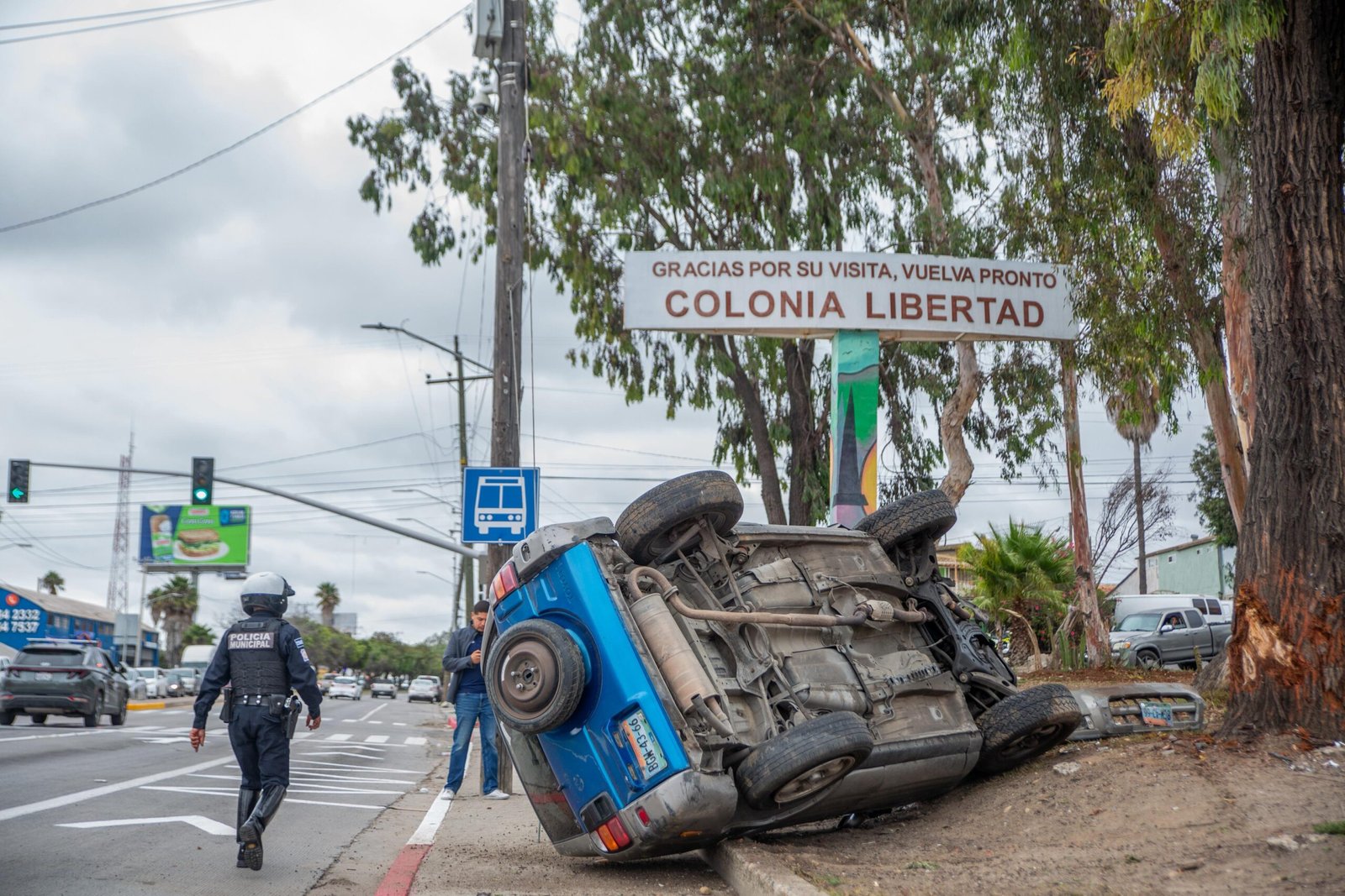 Imagen de WhatsApp 2025-09-26 a las 17.31.18_4ce86ca6