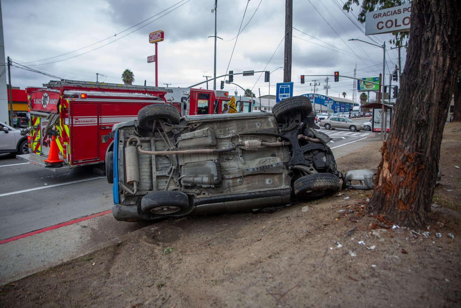 Imagen de WhatsApp 2025-09-26 a las 17.31.18_751b04e1