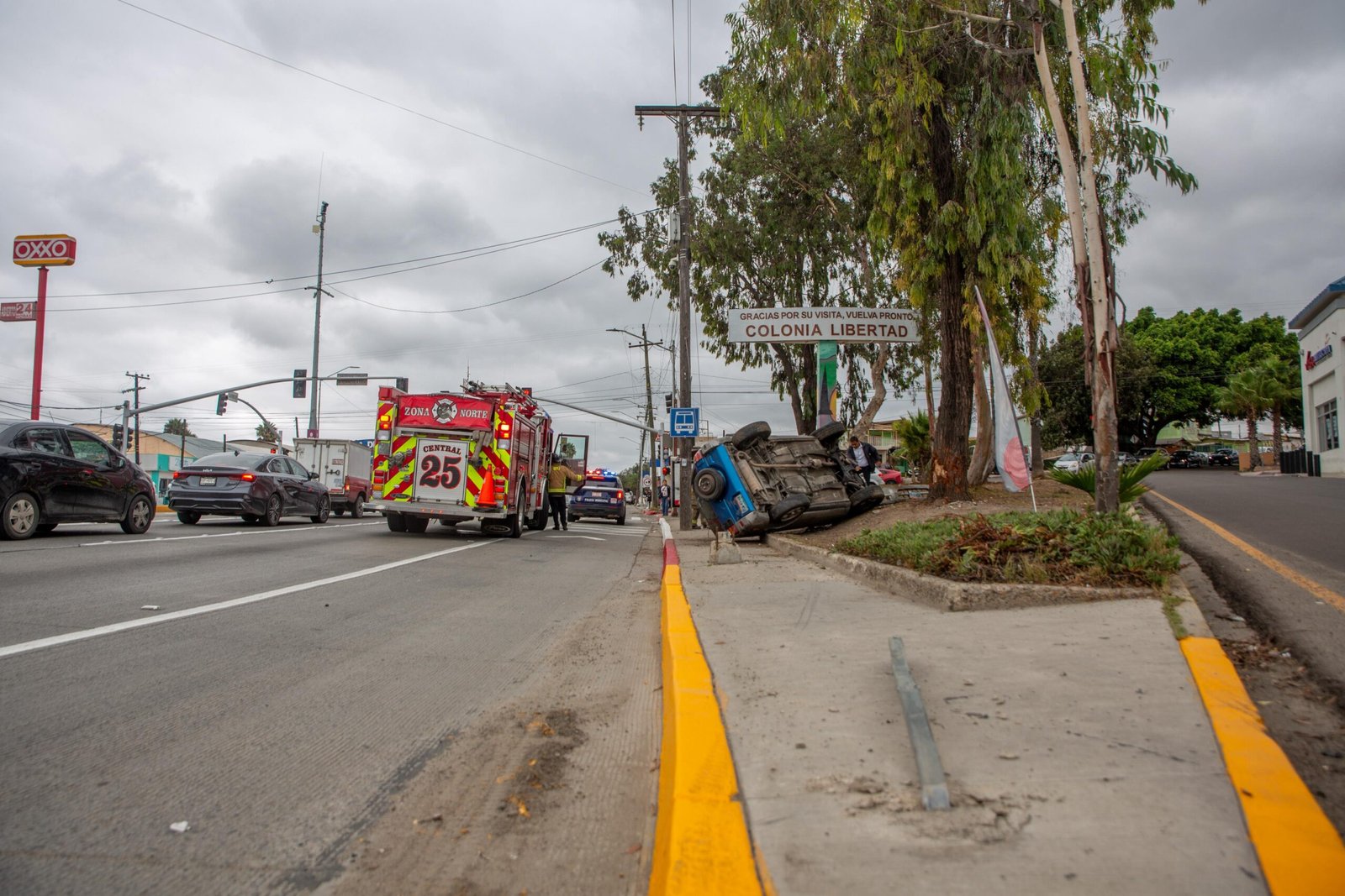 Imagen de WhatsApp 2025-09-26 a las 17.31.18_f1e6b31e