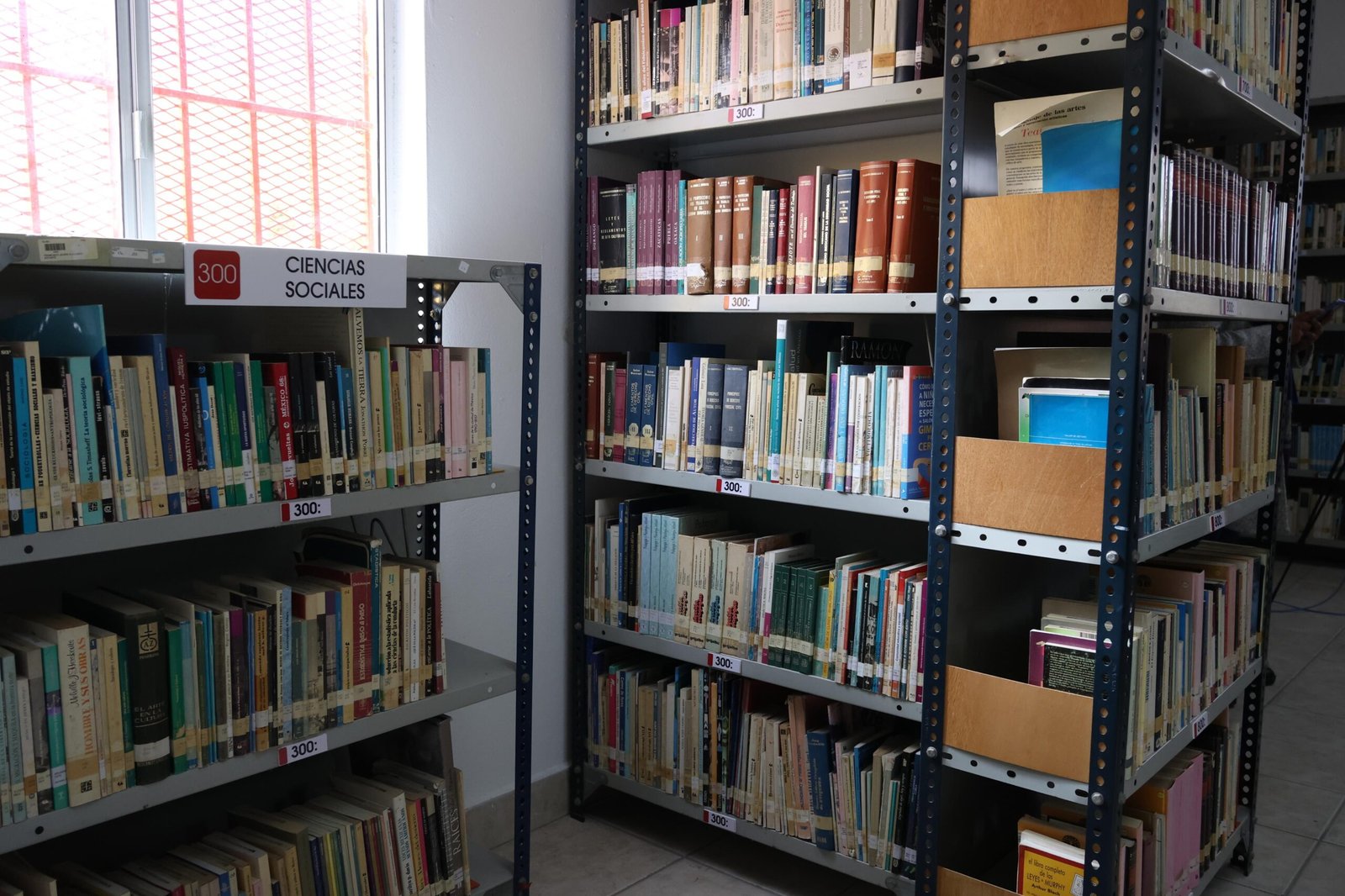 Imagen de WhatsApp 2025-10-02 a las 15.32.45_c6cb4ee5