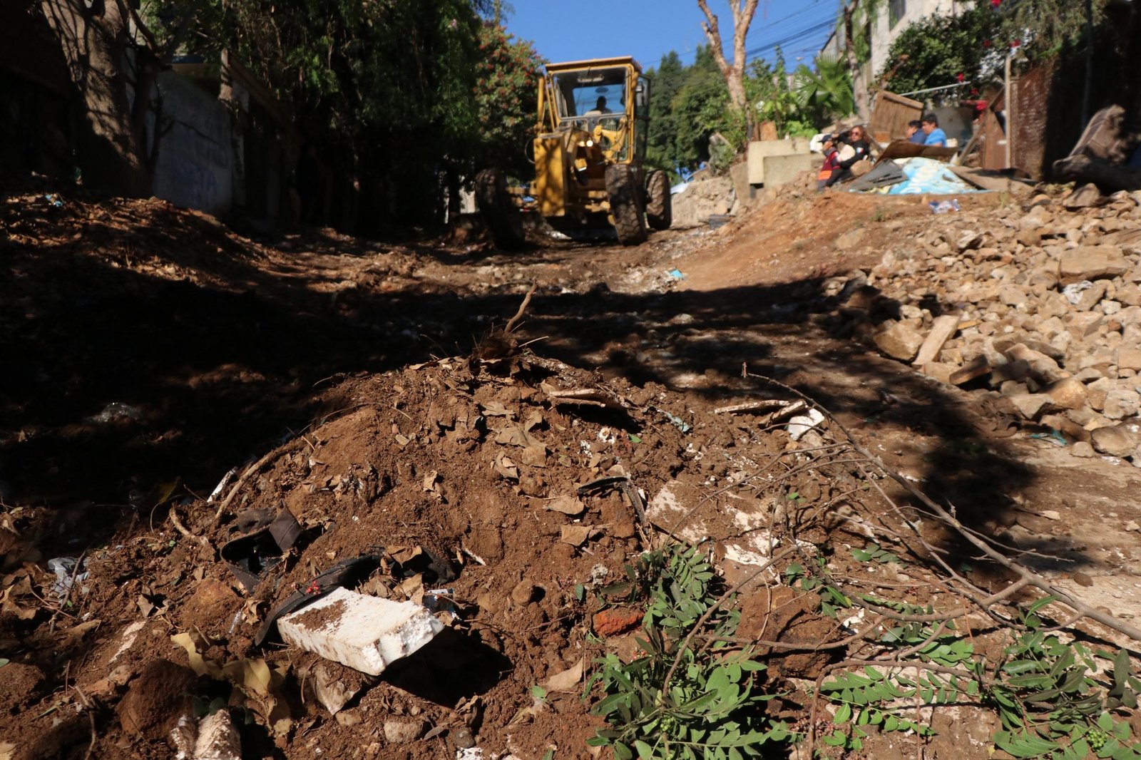 Imagen de WhatsApp 2025-10-16 a las 16.19.50_c78a999c