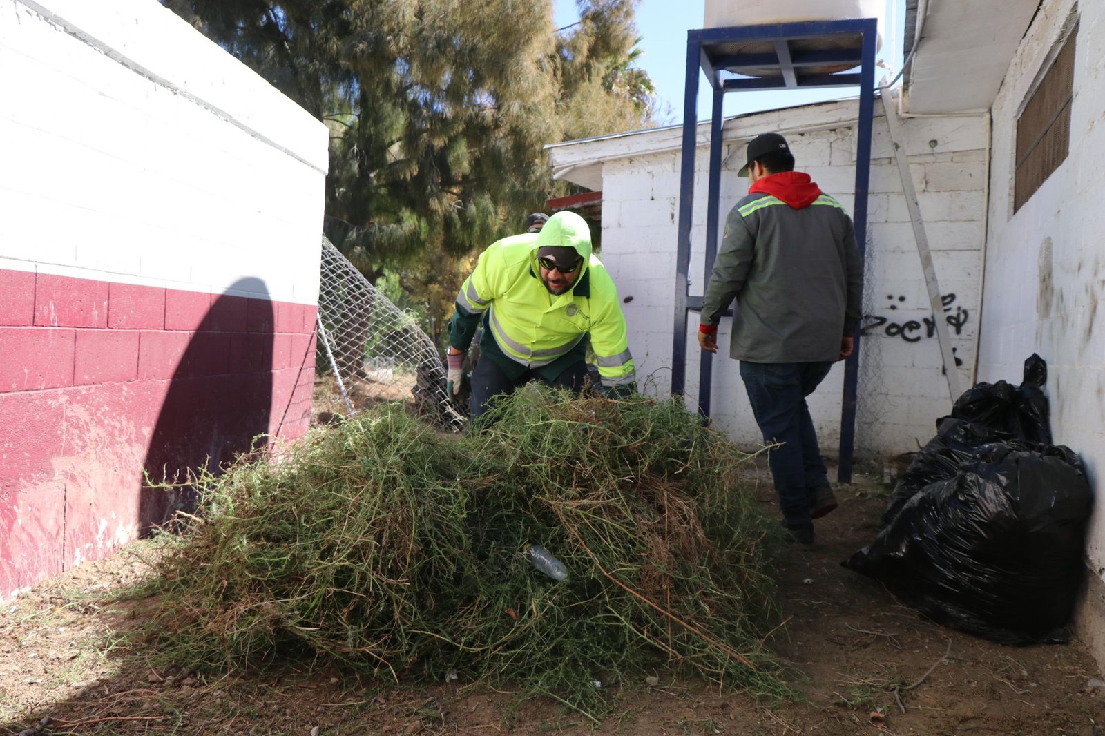 Imagen de WhatsApp 2025-10-16 a las 16.19.51_3929017a