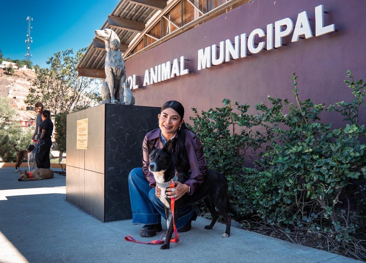 Imagen de WhatsApp 2025-10-17 a las 11.55.27_9f6725ad