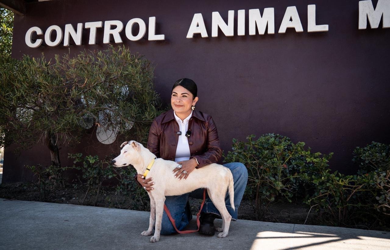 Imagen de WhatsApp 2025-10-17 a las 11.55.27_a6181b6e