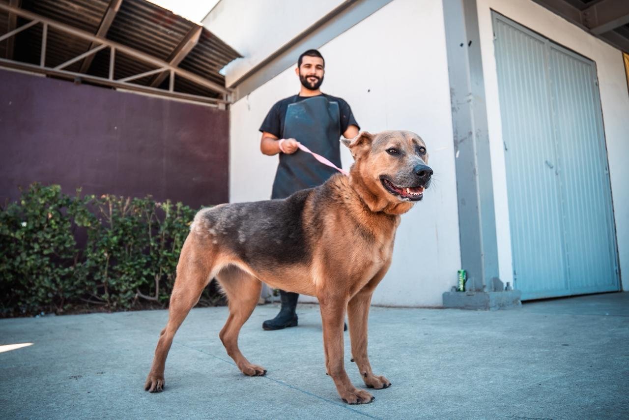 Imagen de WhatsApp 2025-10-17 a las 11.55.52_14e6dc85