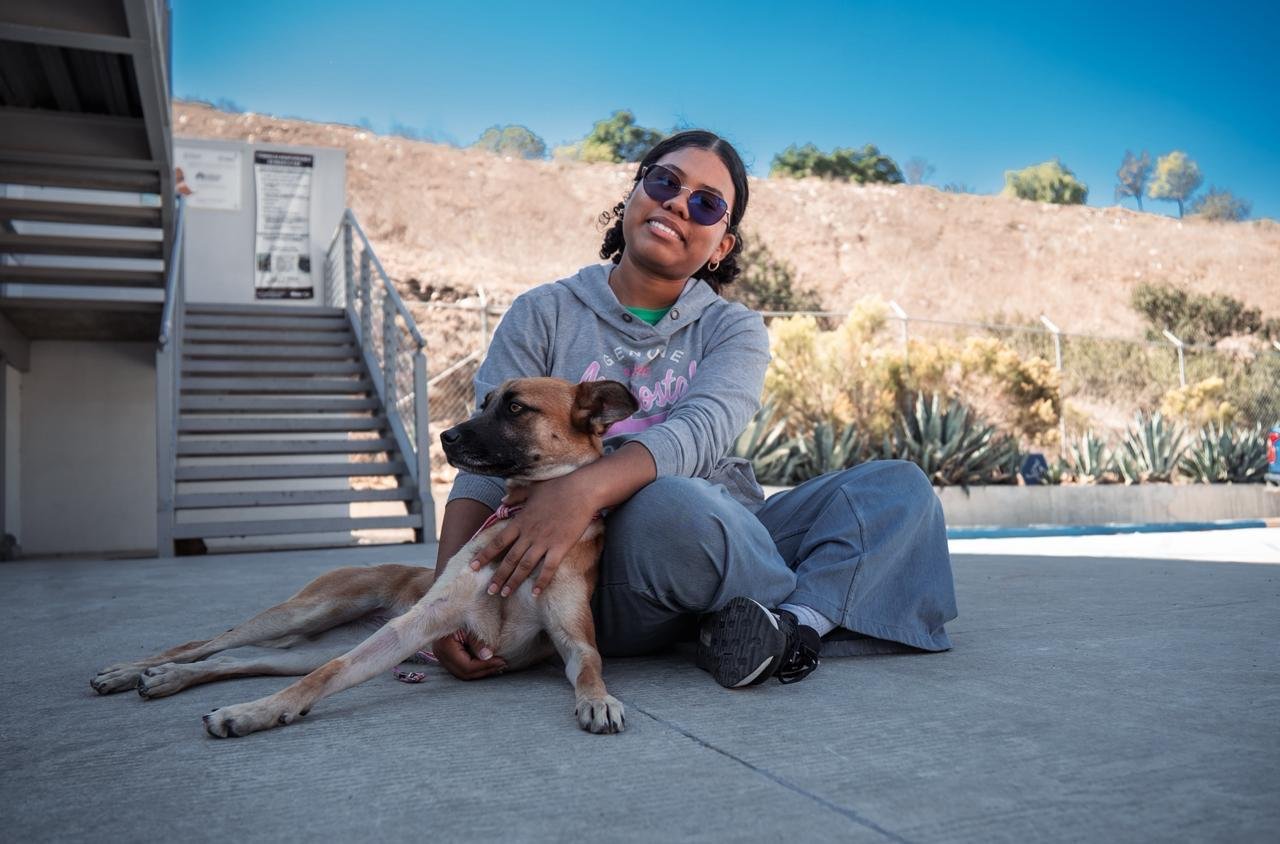 Imagen de WhatsApp 2025-10-17 a las 11.55.53_1a0374ca