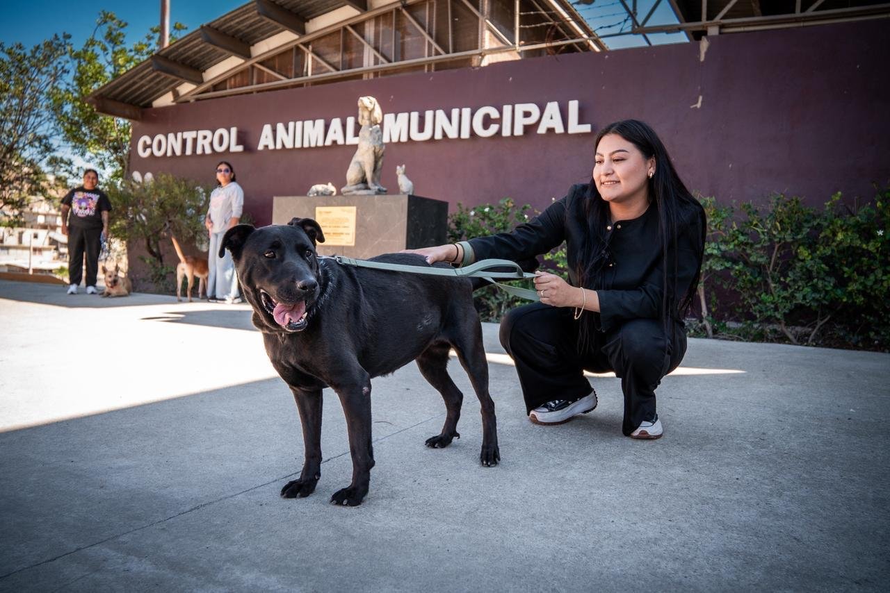 Imagen de WhatsApp 2025-10-17 a las 11.55.53_5f0b162e