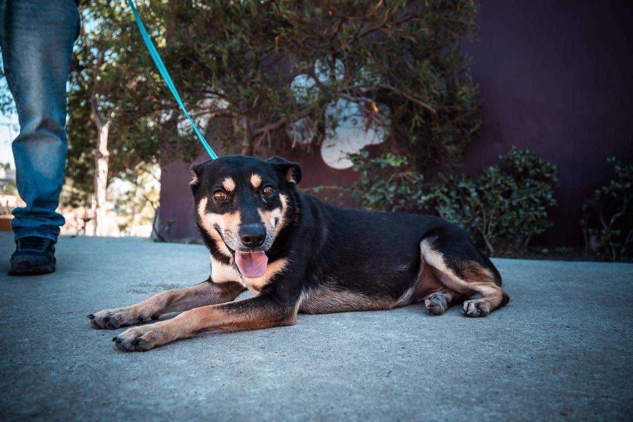 Imagen de WhatsApp 2025-10-17 a las 11.55.53_af1c74b1