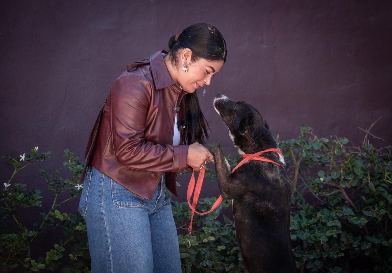 Imagen de WhatsApp 2025-10-17 a las 11.55.59_f9cbabf7