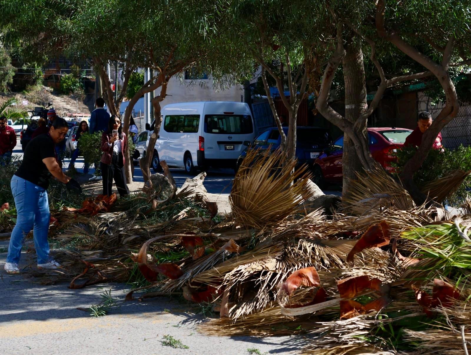 Imagen de WhatsApp 2025-10-22 a las 15.19.43_89d88e40