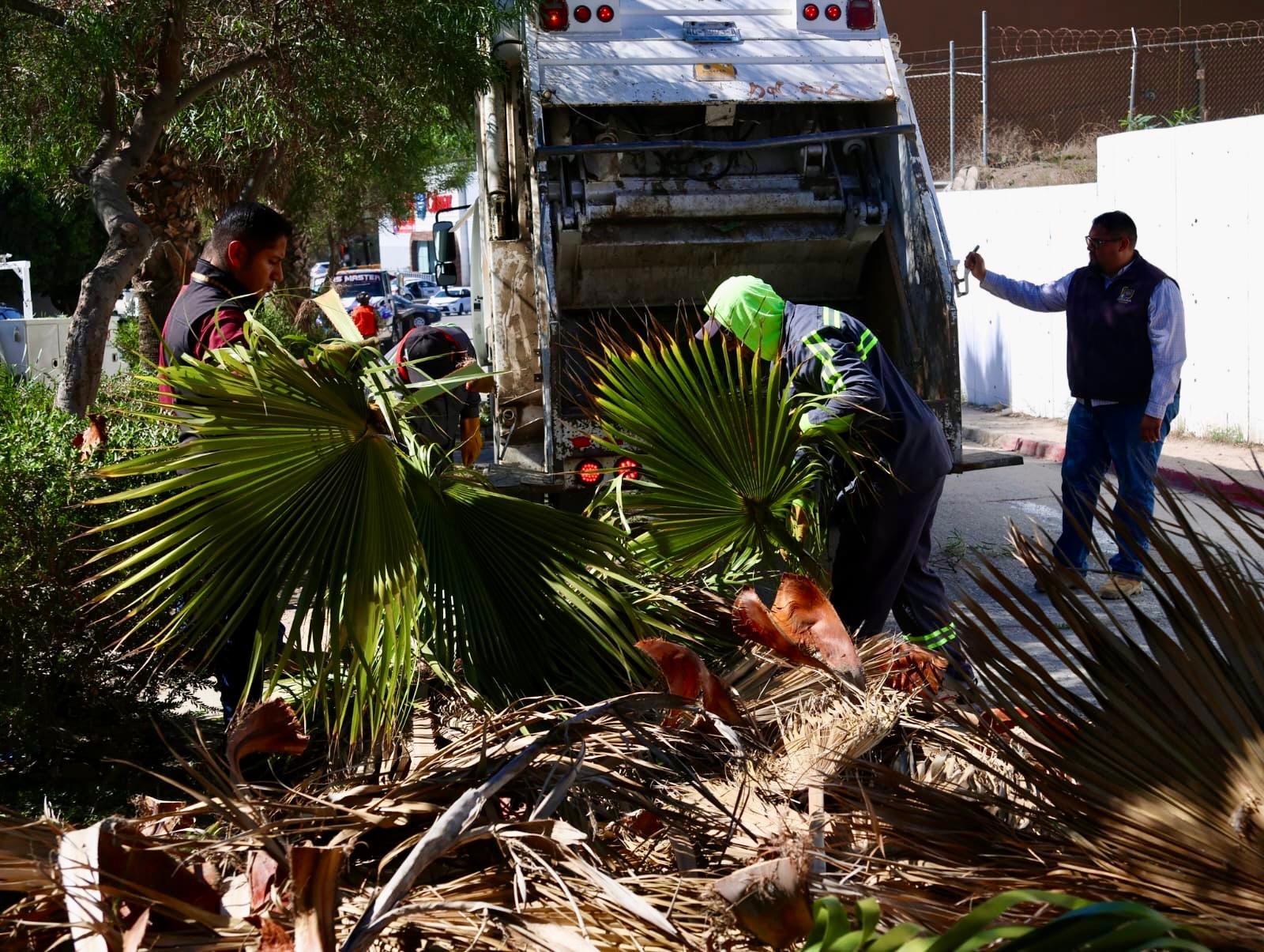 Imagen de WhatsApp 2025-10-22 a las 15.19.43_8a70bf74