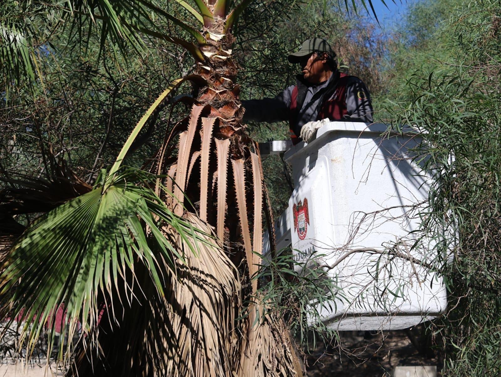 Imagen de WhatsApp 2025-10-22 a las 15.19.43_8c231a72