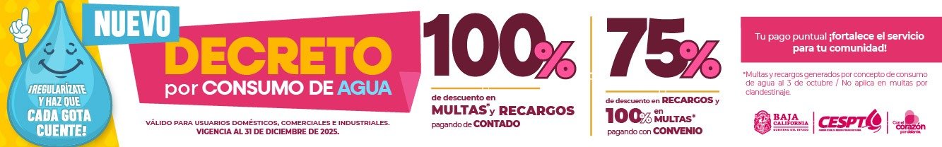 Imagen de WhatsApp 2025-10-28 a las 13.38.20_998a5db1