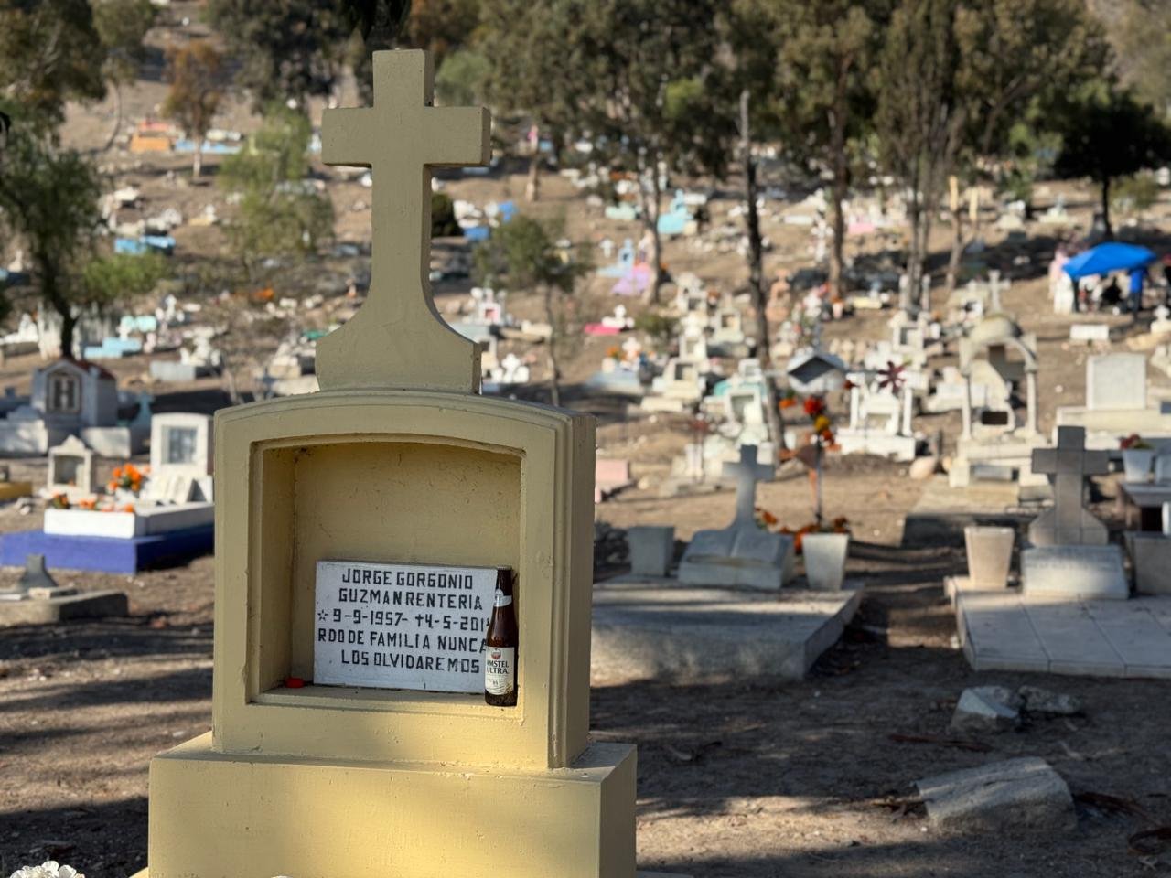 Imagen de WhatsApp 2025-11-02 a las 16.41.08_0fff2cb8