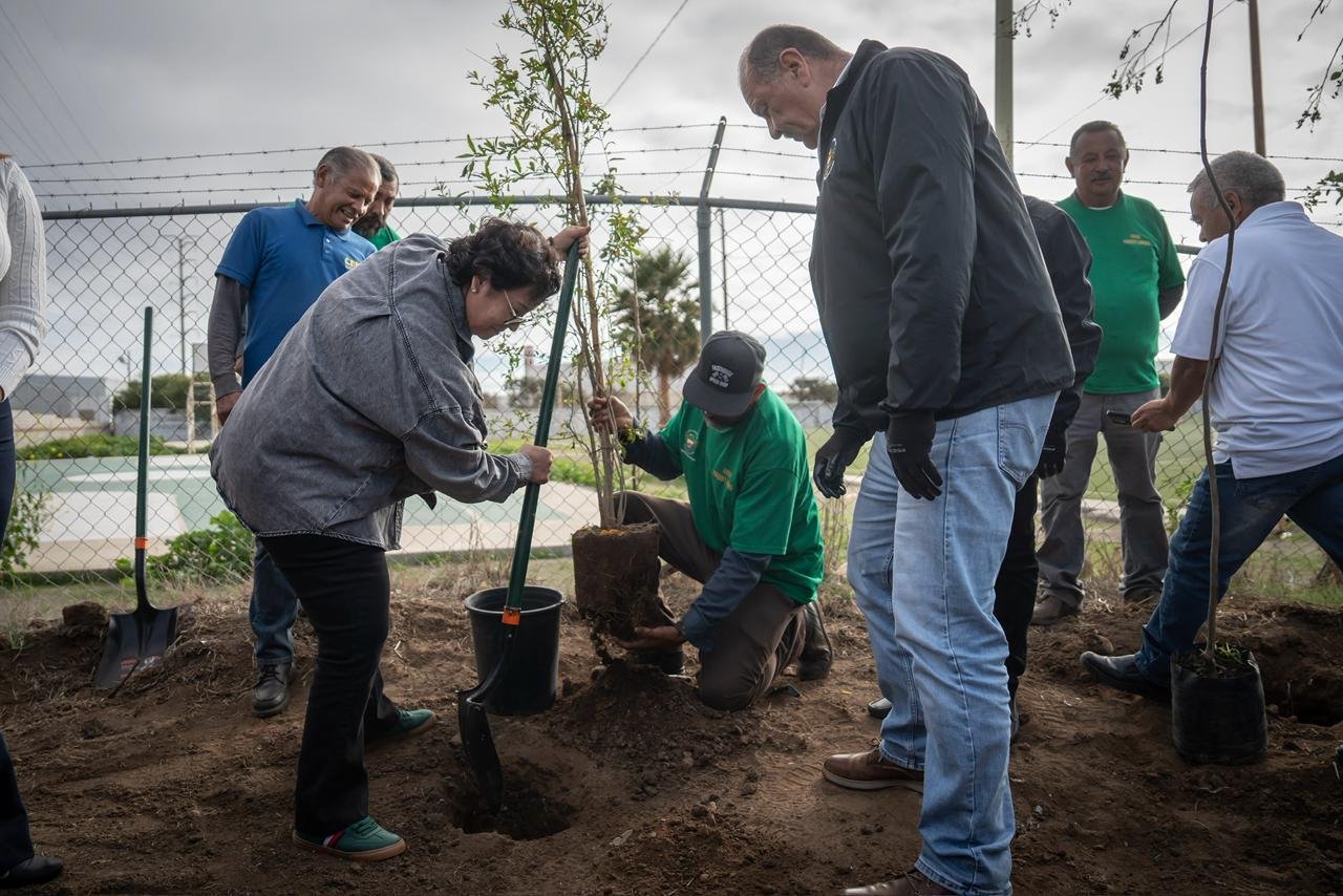 Imagen de WhatsApp 2025-11-06 a las 18.00.19_21fa1740