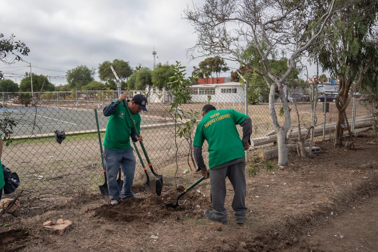 Imagen de WhatsApp 2025-11-06 a las 18.00.19_873df067