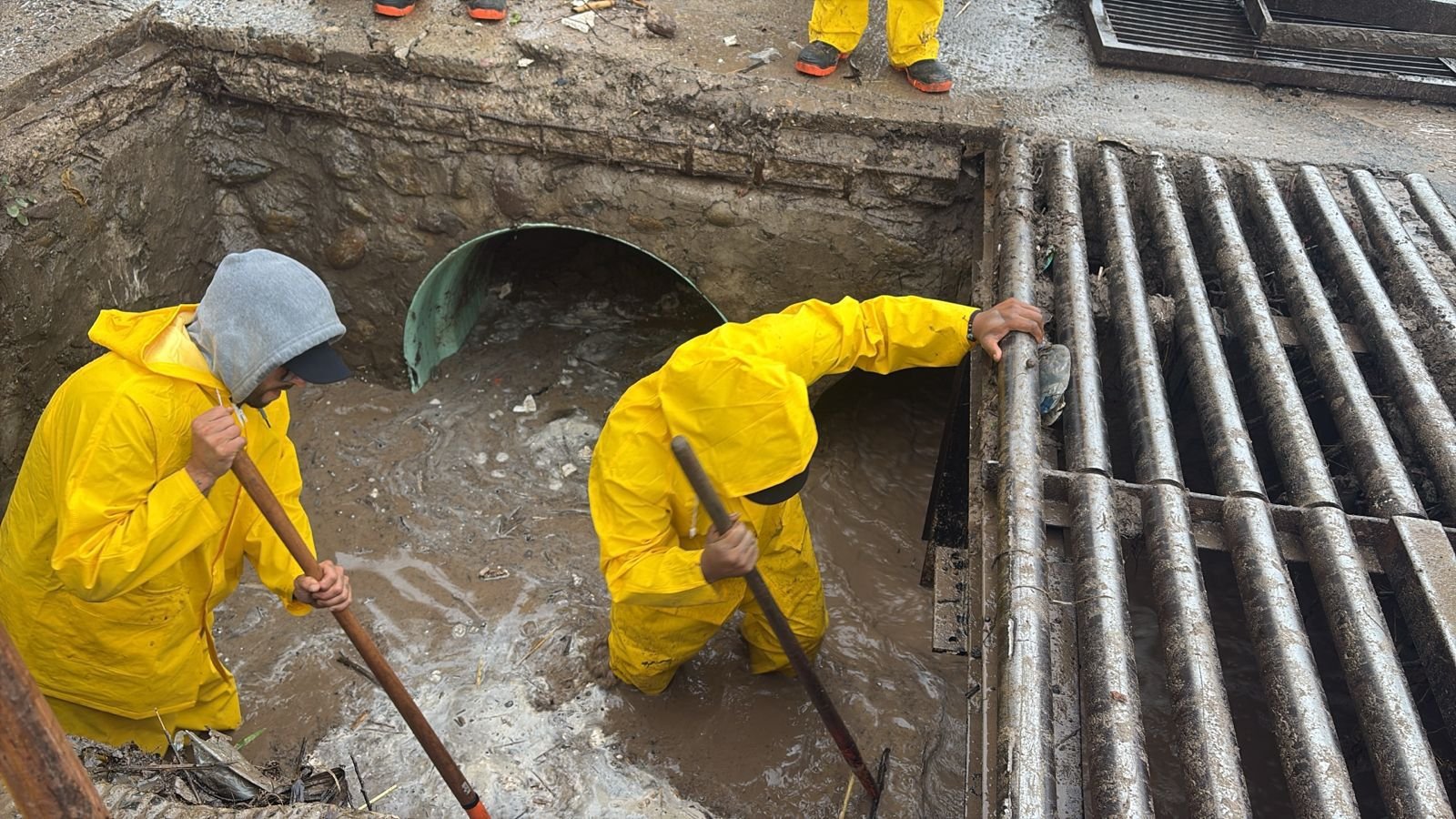 Imagen de WhatsApp 2025-11-15 a las 11.04.41_72ea7ab5