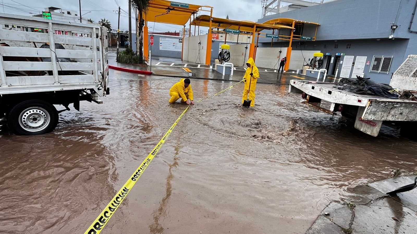 Imagen de WhatsApp 2025-11-15 a las 11.04.41_878c2caf