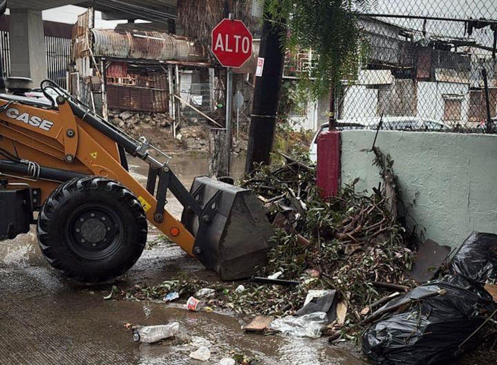 Imagen de WhatsApp 2025-11-15 a las 15.09.42_03547575