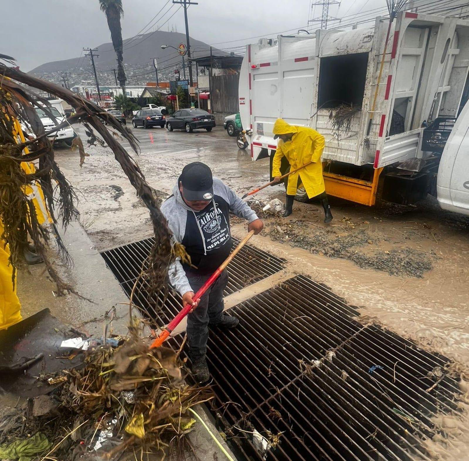 Imagen de WhatsApp 2025-11-15 a las 15.09.42_90713238