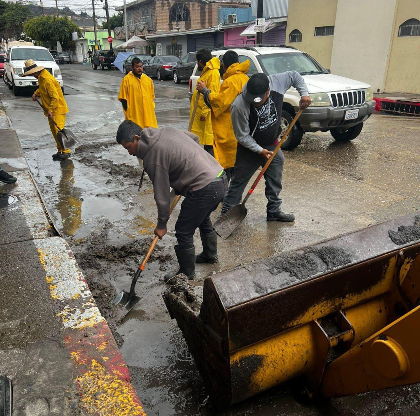 Imagen de WhatsApp 2025-11-15 a las 15.09.43_ab4d5ae3