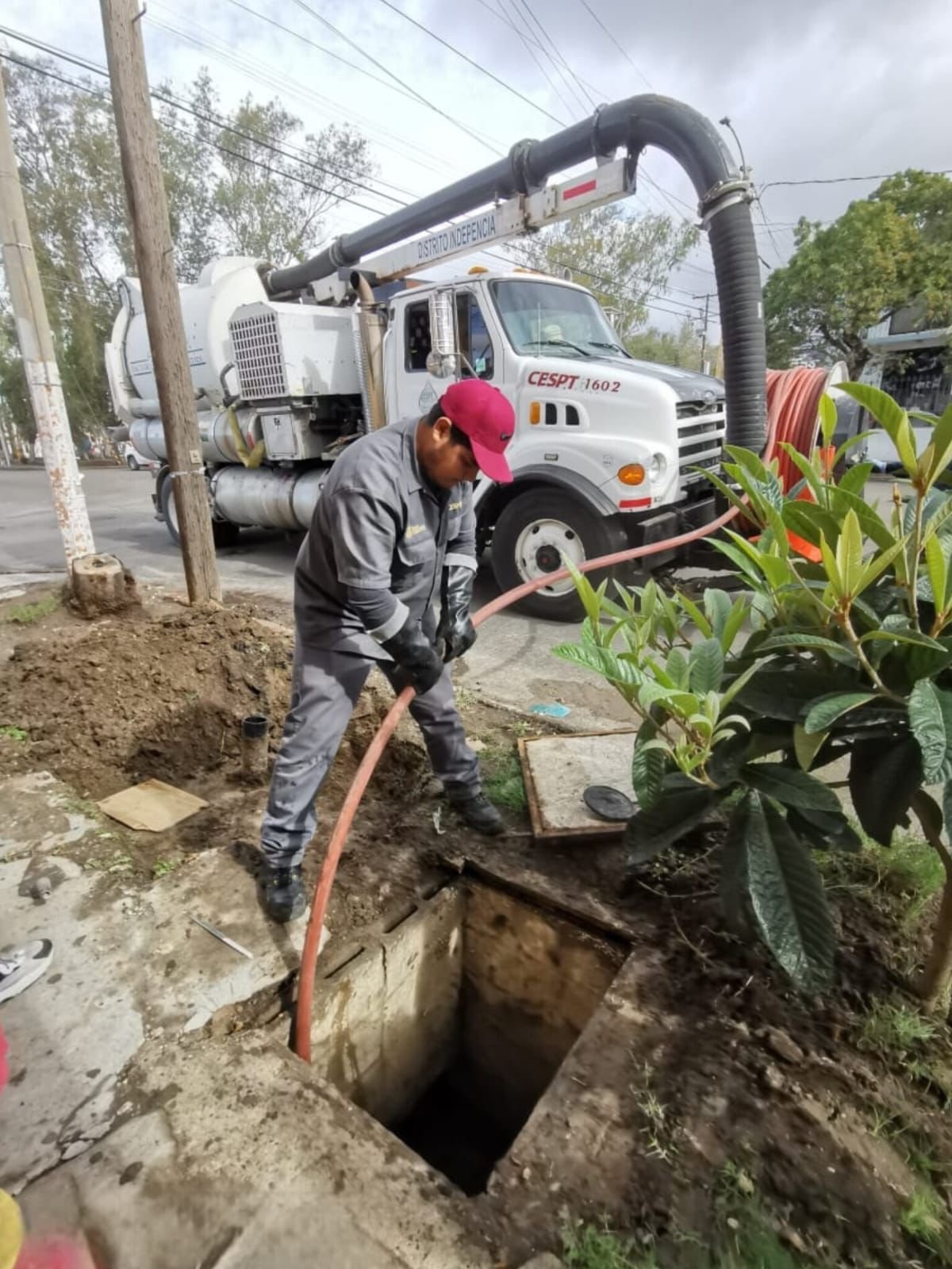 Imagen de WhatsApp 2025-11-19 a las 17.34.35_1e742398