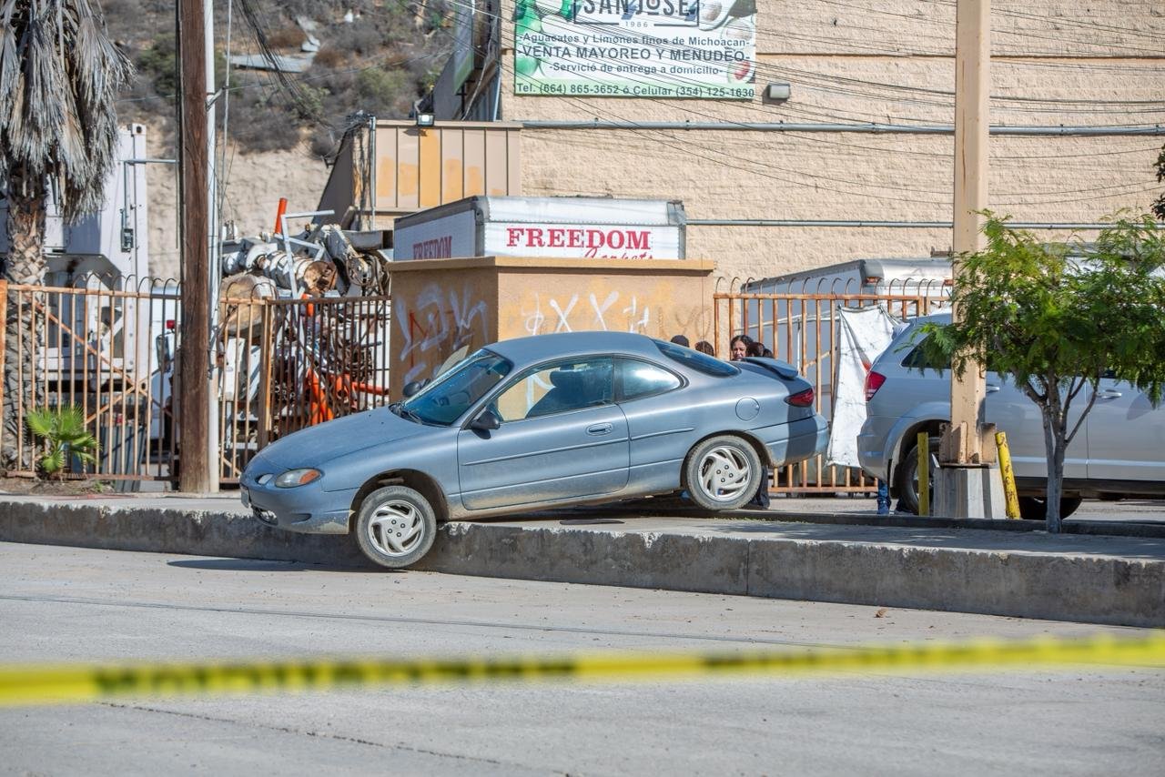 Imagen de WhatsApp 2025-11-19 a las 17.45.36_81e574a0