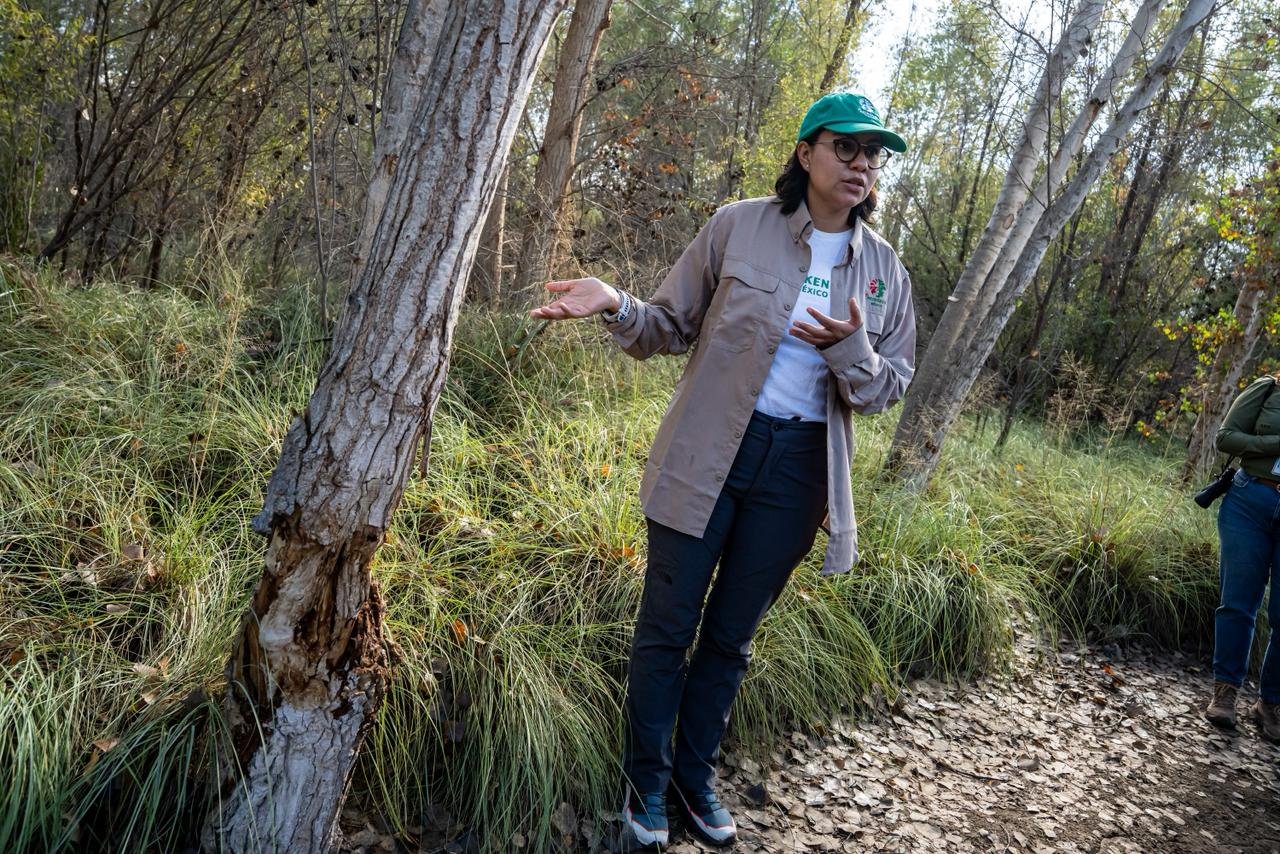 Imagen de WhatsApp 2025-11-19 a las 19.06.03_e35d37b9