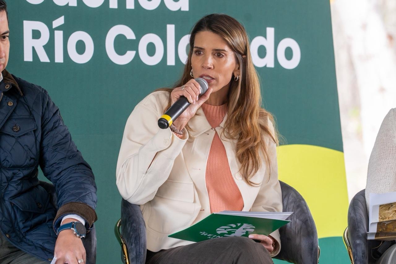 Imagen de WhatsApp 2025-11-19 a las 19.06.03_f4226b84