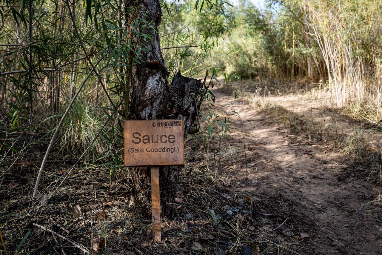 Imagen de WhatsApp 2025-11-19 a las 19.06.04_52b6b01c