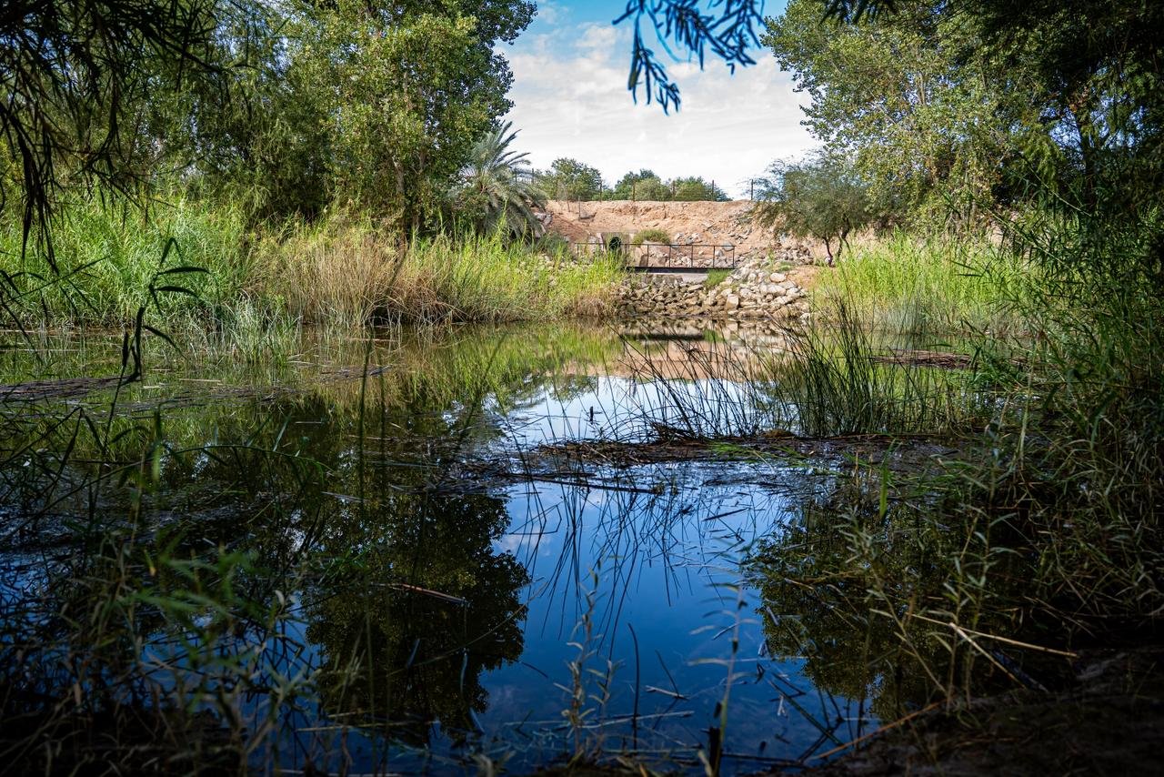 Imagen de WhatsApp 2025-11-19 a las 19.06.04_efa6f246