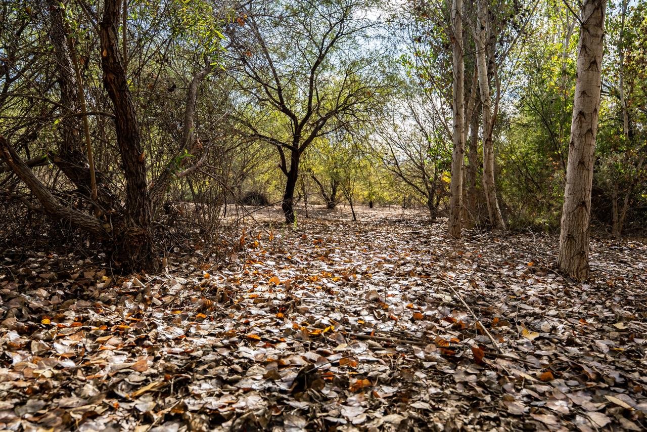 Imagen de WhatsApp 2025-11-19 a las 19.06.05_92aaf5b0