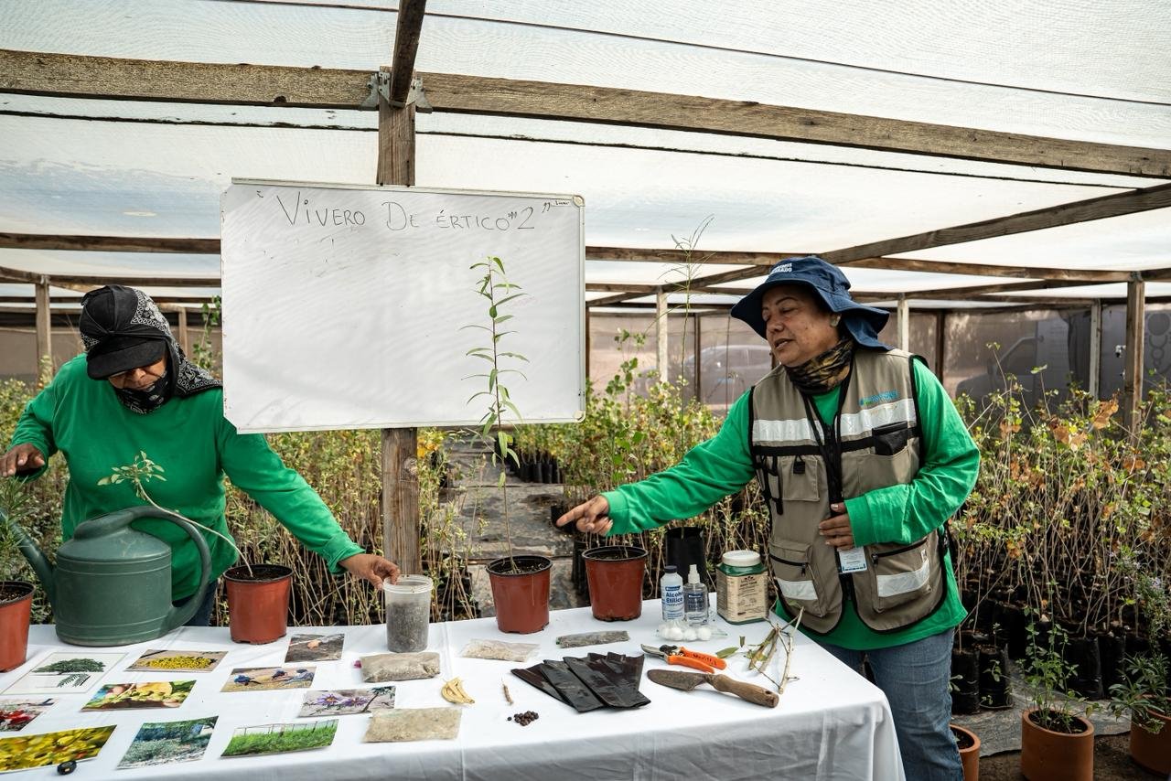 Imagen de WhatsApp 2025-11-19 a las 19.06.05_dfc698bc