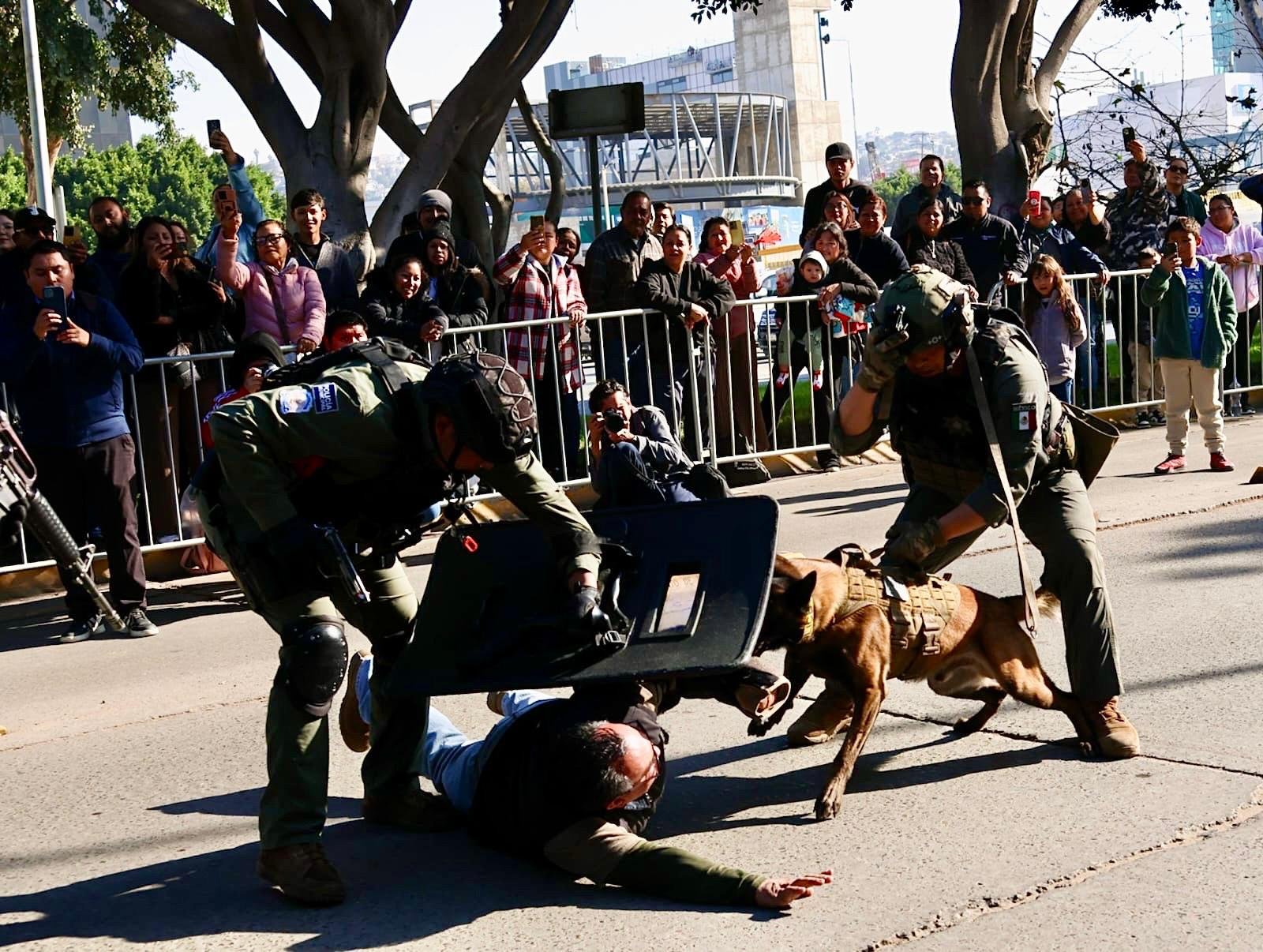 Imagen de WhatsApp 2025-11-20 a las 11.27.16_5848637c