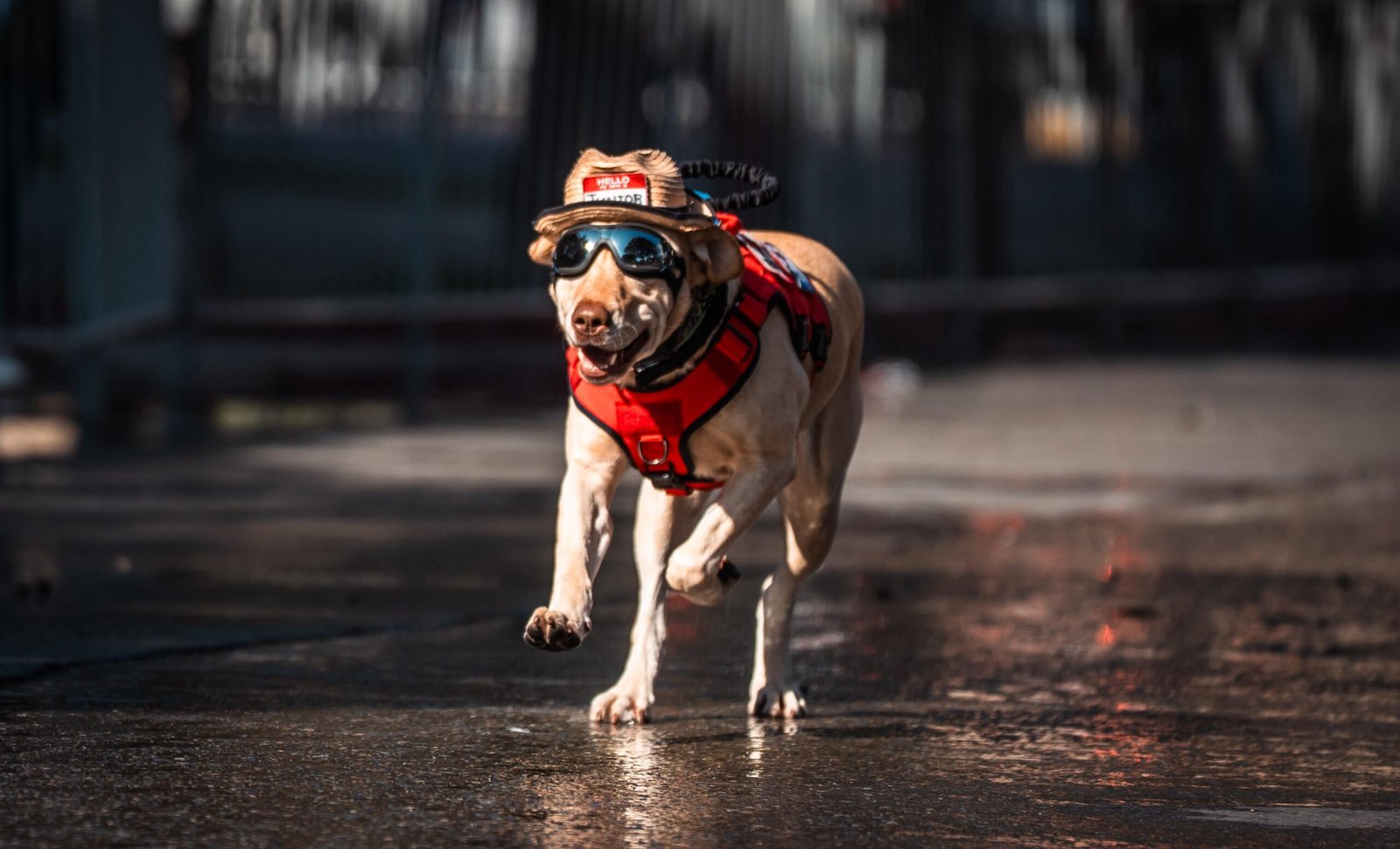 Imagen de WhatsApp 2025-11-20 a las 11.32.28_f92a2854