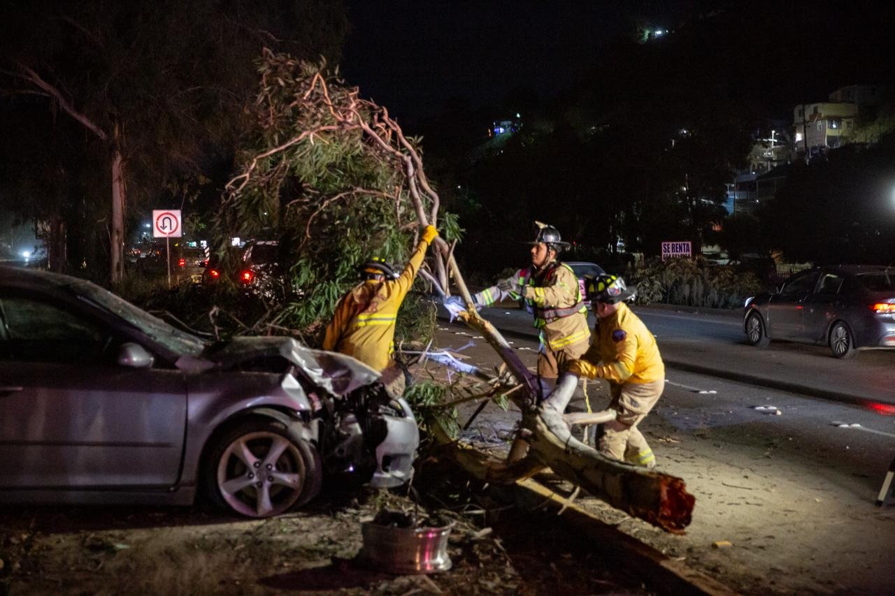 Imagen de WhatsApp 2025-11-23 a las 08.58.20_ab4acbfa