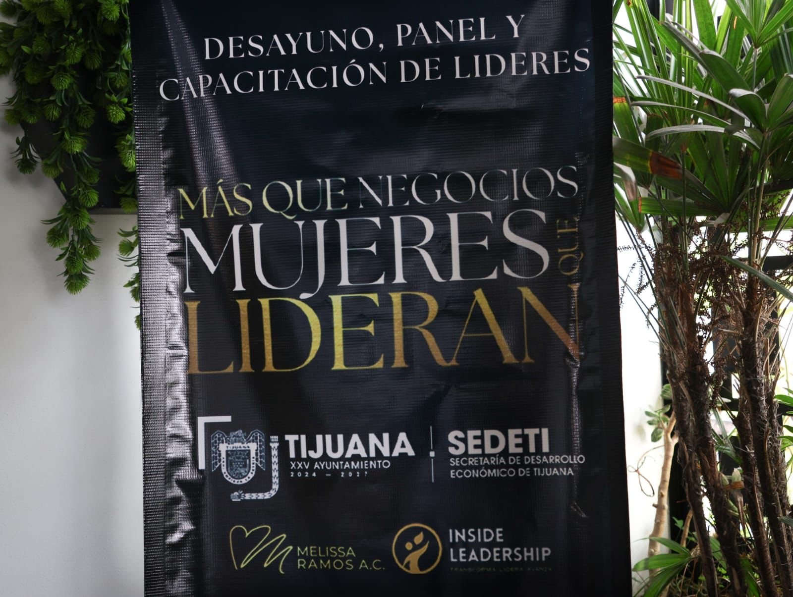 Imagen de WhatsApp 2025-11-24 a las 11.03.25_e6afbbee