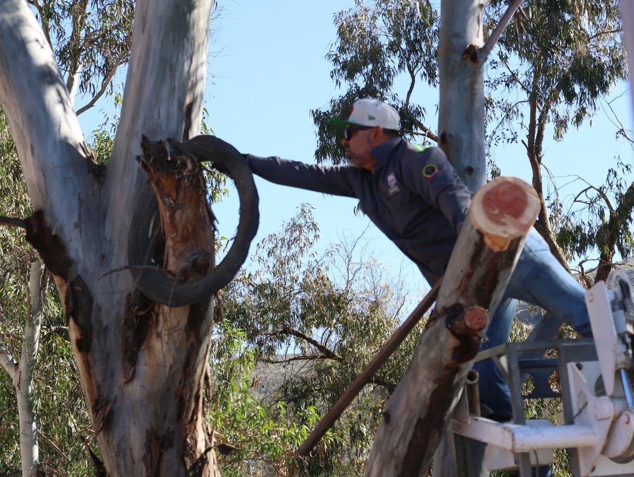 Imagen de WhatsApp 2025-11-26 a las 16.49.56_8df9677a