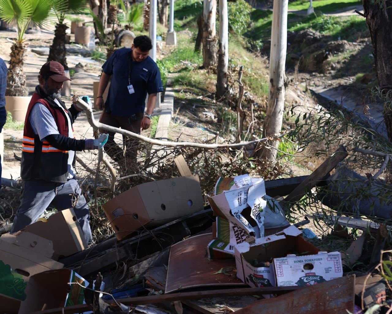 Imagen de WhatsApp 2025-11-26 a las 16.49.56_95bcb508