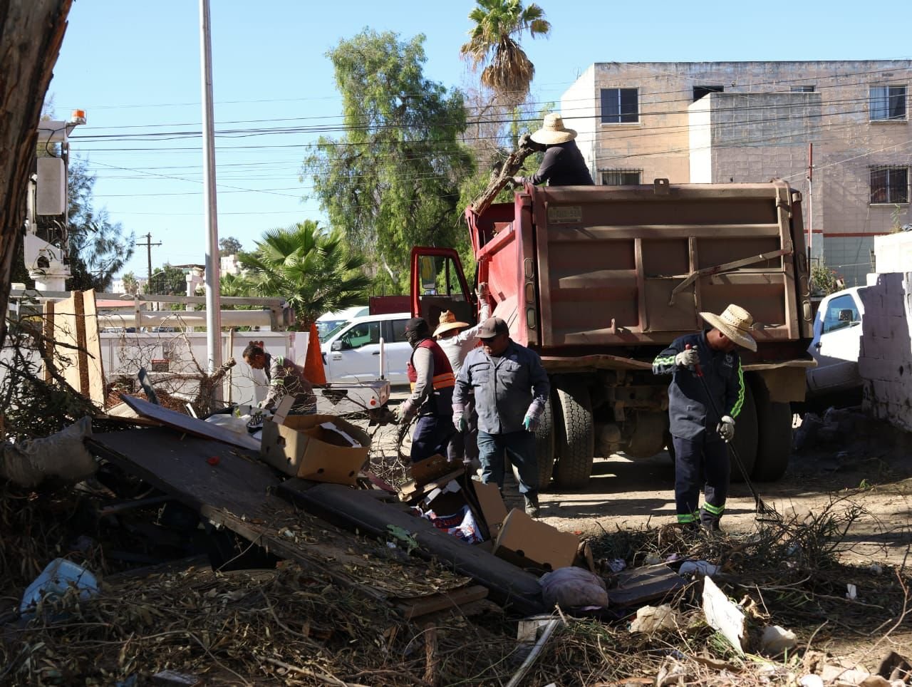 Imagen de WhatsApp 2025-11-26 a las 16.49.57_ed1de30f