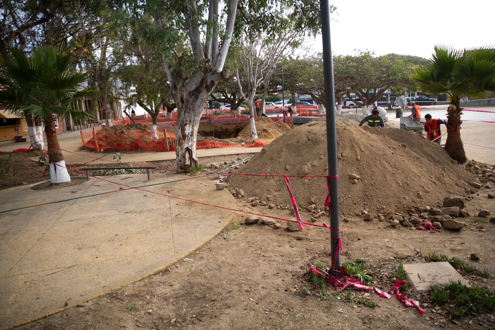 Imagen de WhatsApp 2025-11-28 a las 14.59.42_595bf9e8