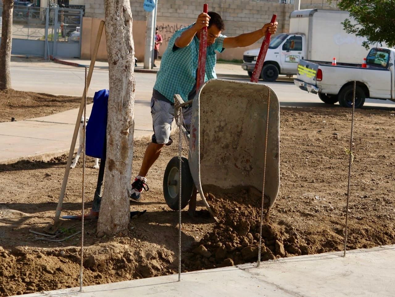 Imagen de WhatsApp 2025-12-03 a las 15.59.30_78d78e59