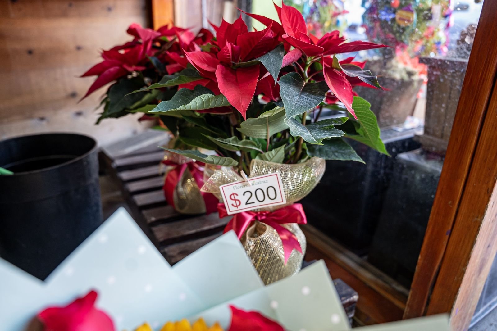 Imagen de WhatsApp 2025-12-05 a las 17.52.06_2c48f3be